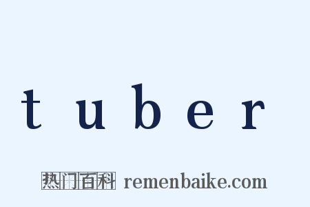 tuber是什么意思的图片